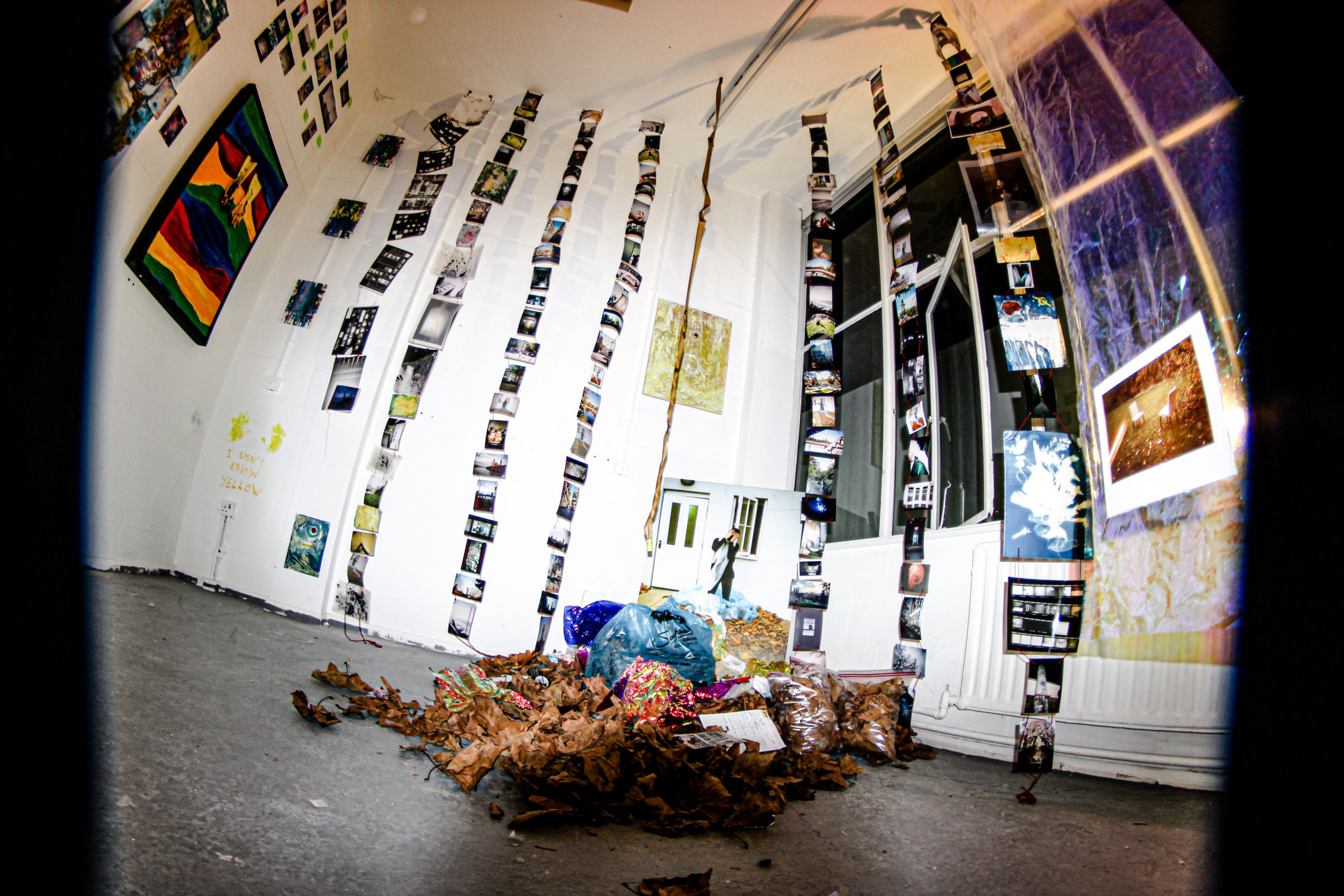 . . . . . .X X X . . . . .