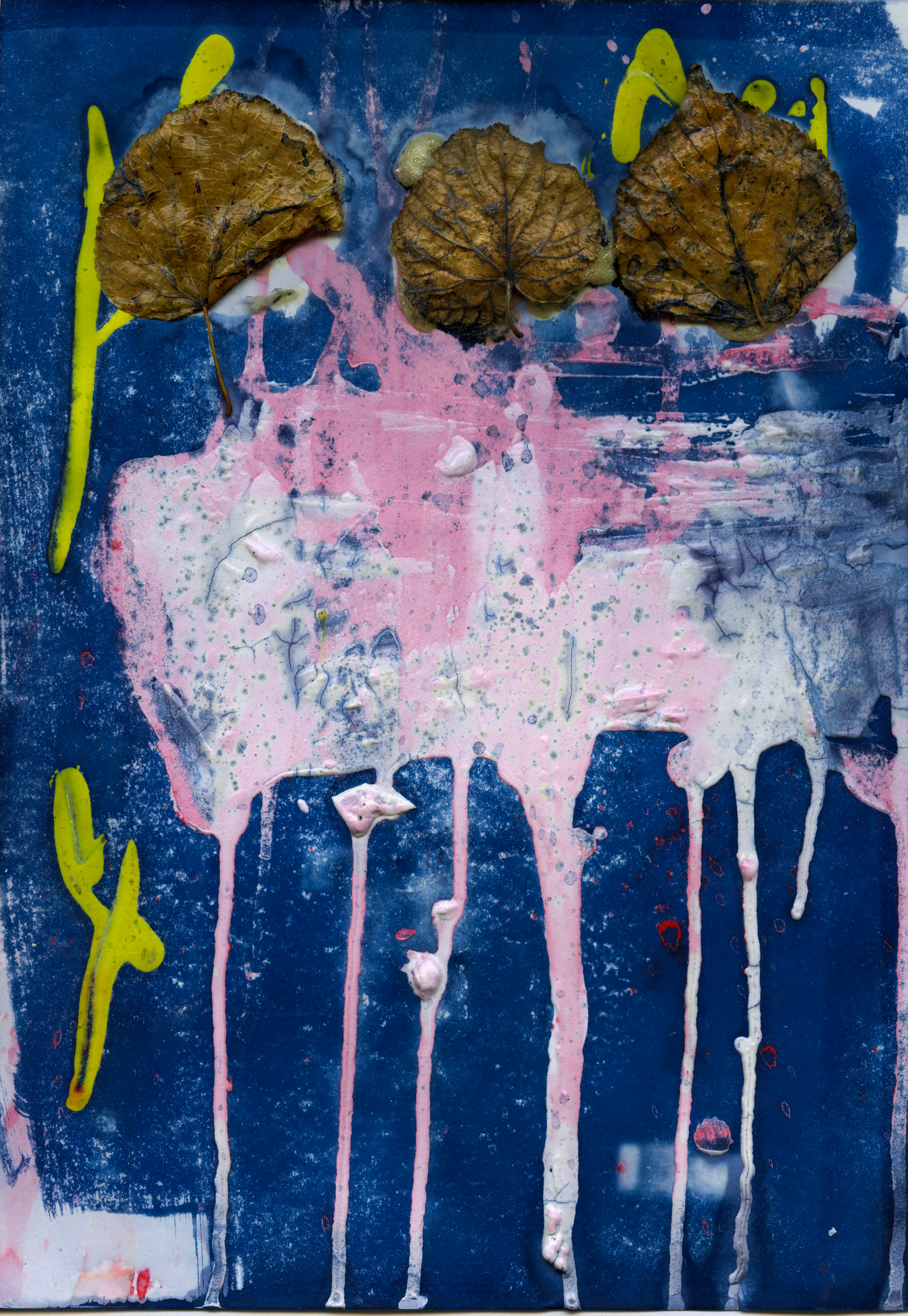 "Unreadymades" with Cyanotype