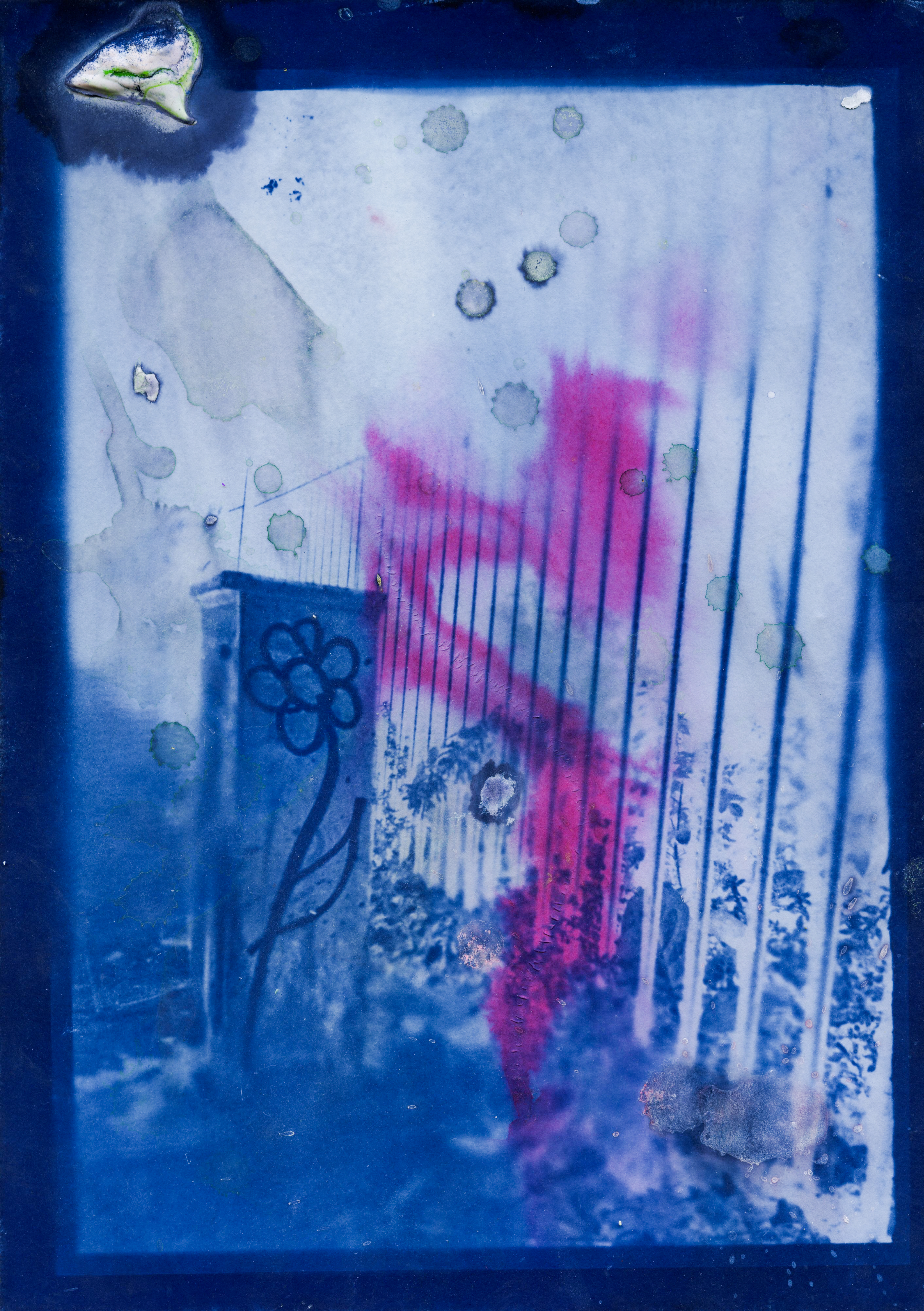 "Unreadymades" with Cyanotype