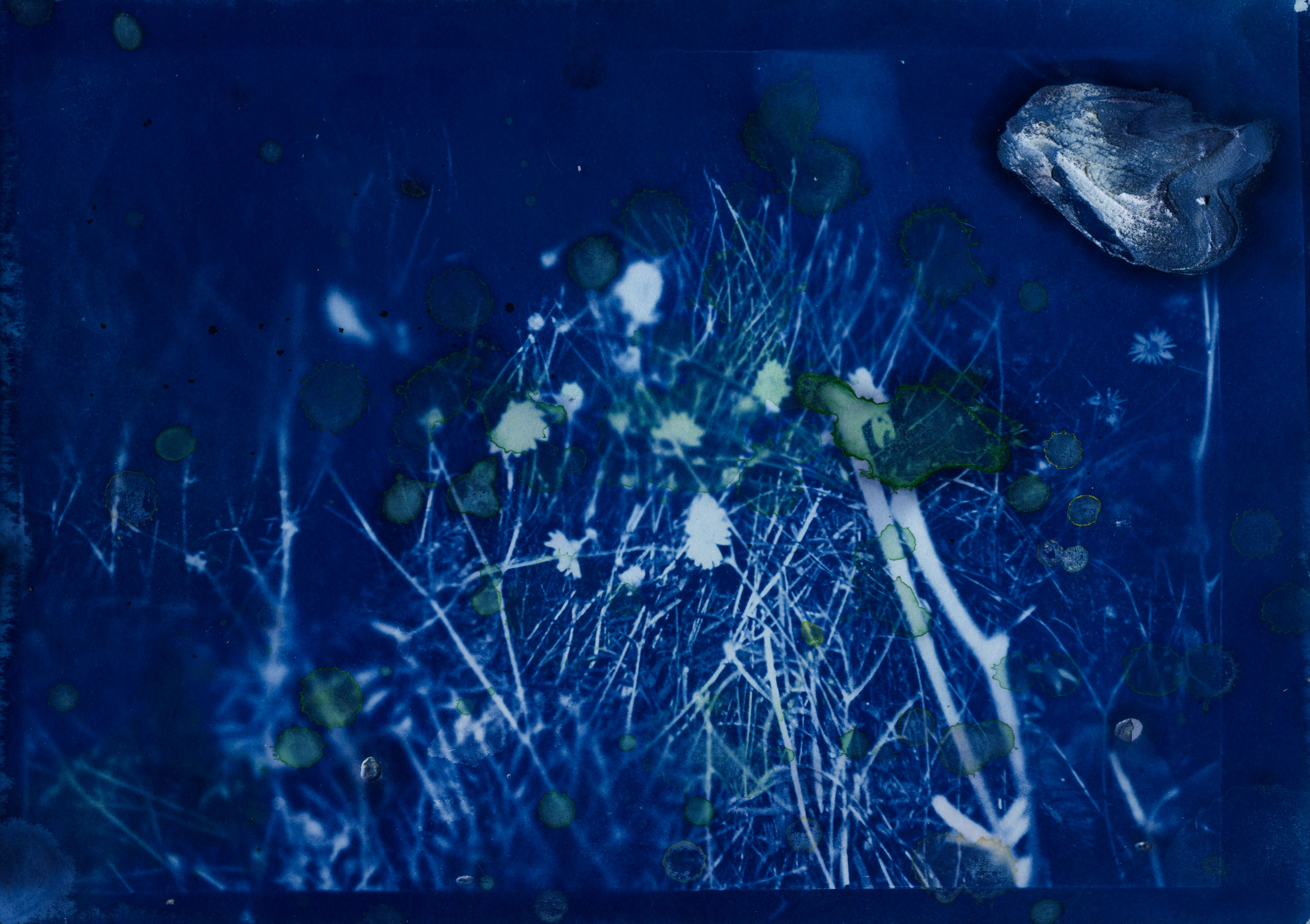 "Unreadymades" with Cyanotype
