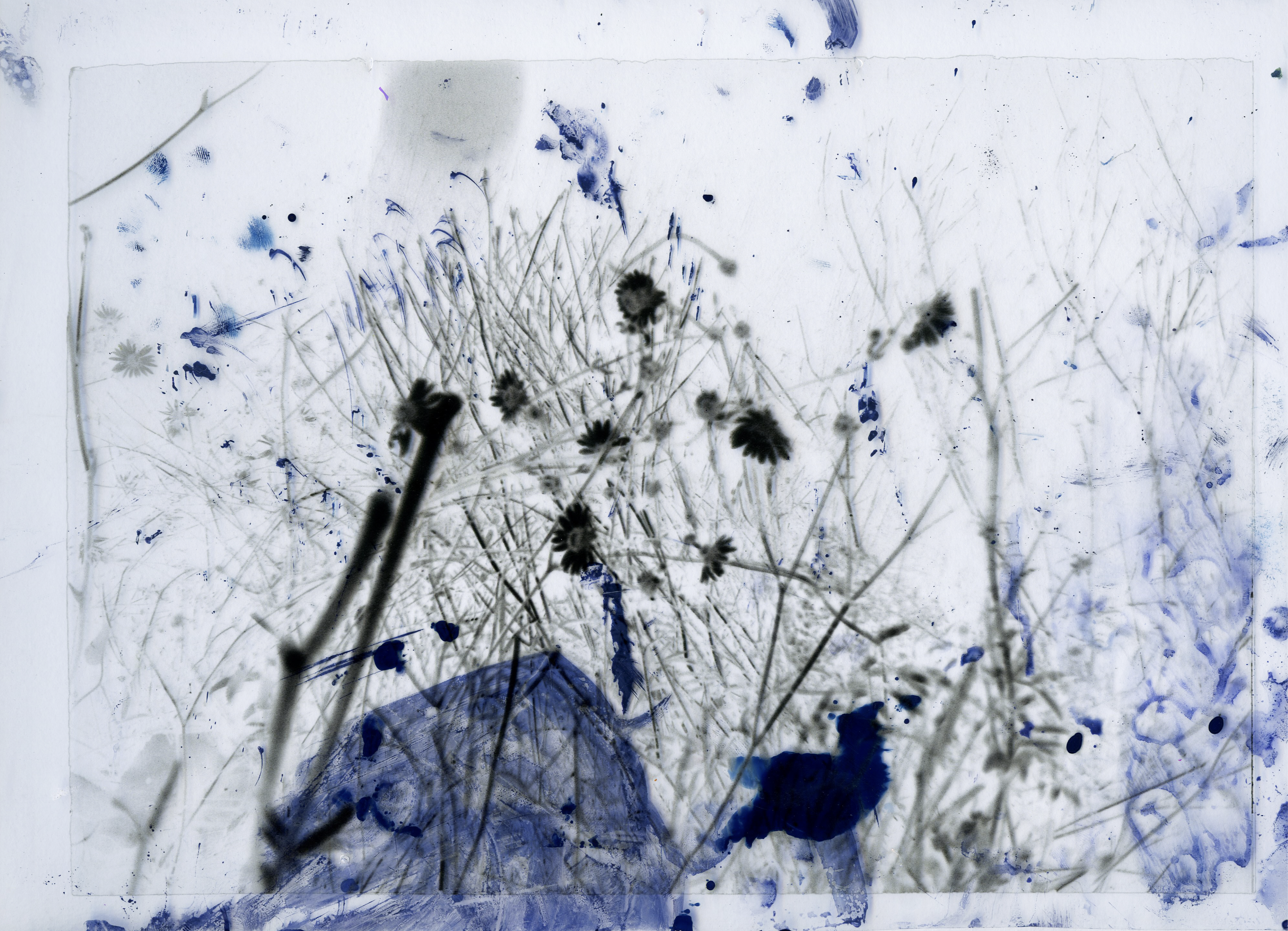 Same image. Stained Negative.
