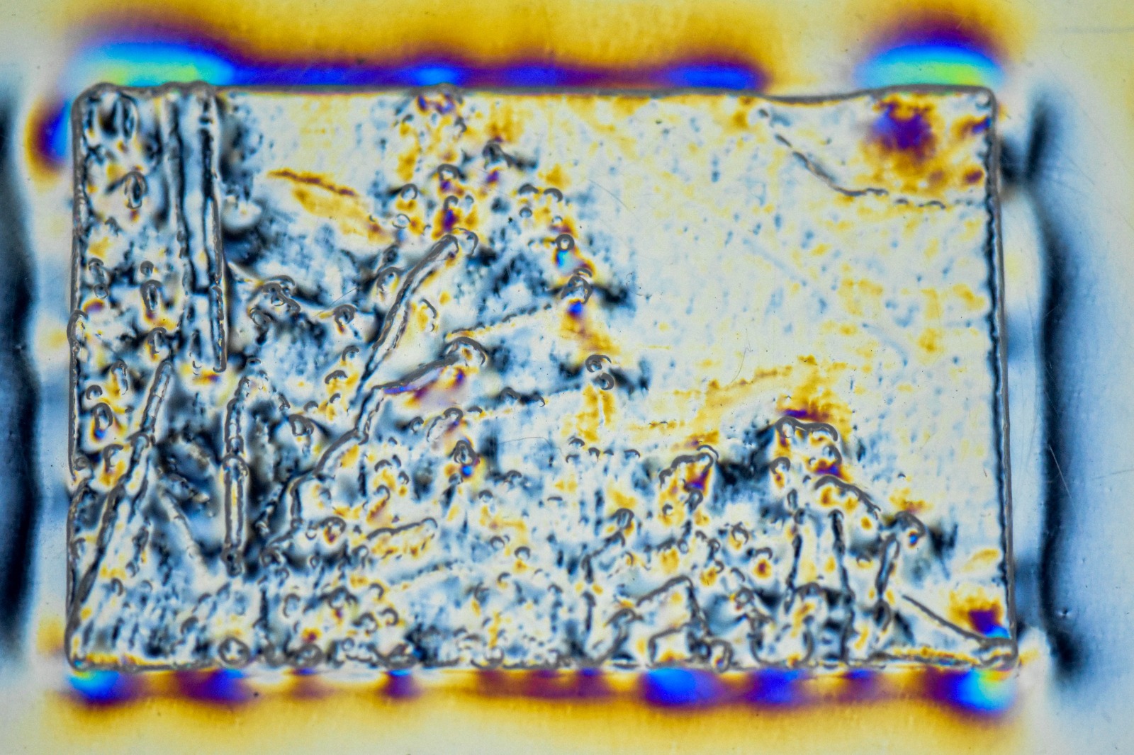 1dc08fbf-9e90-44bc-950a-059b3145b7e1 (1)