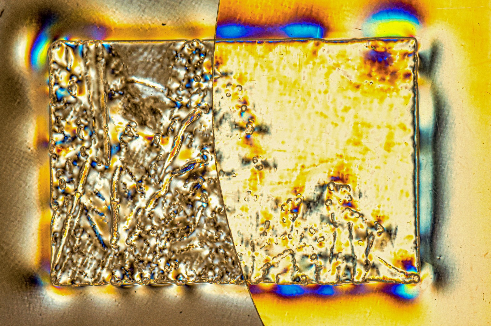 3e13b671-5d95-4298-a3dd-fdaa878e71d8