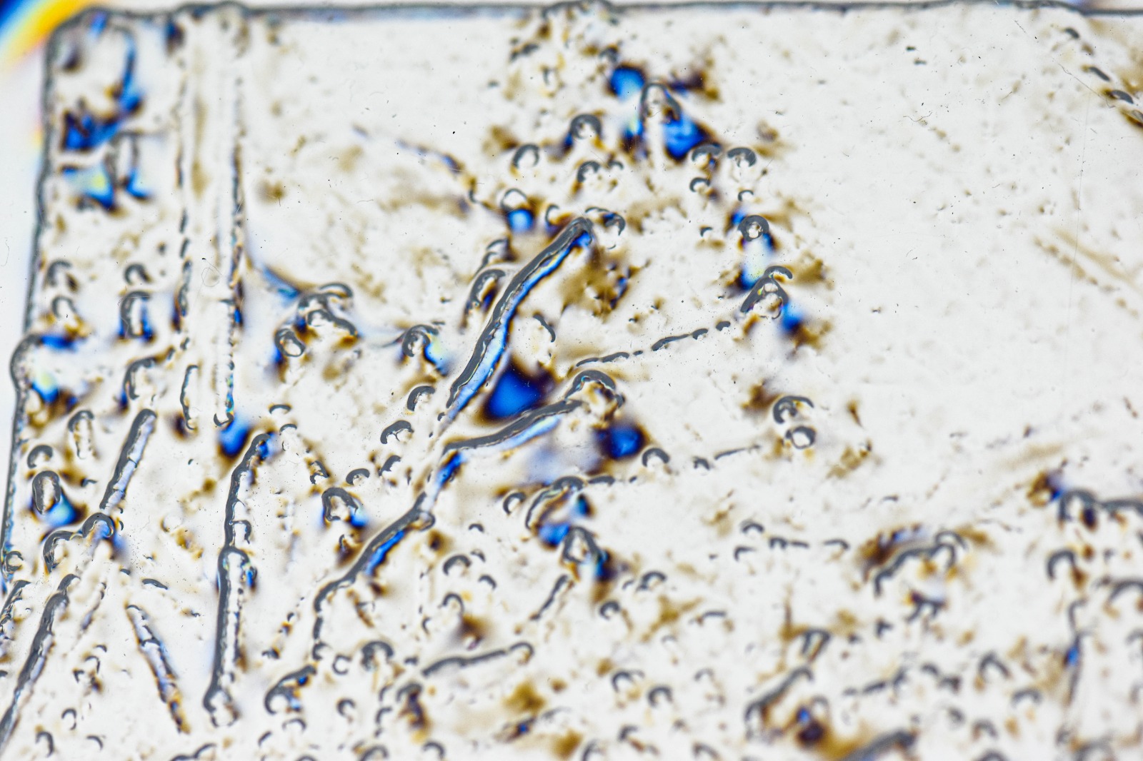 6e07e894-6f23-4833-9943-c2d7328ef901 (1)