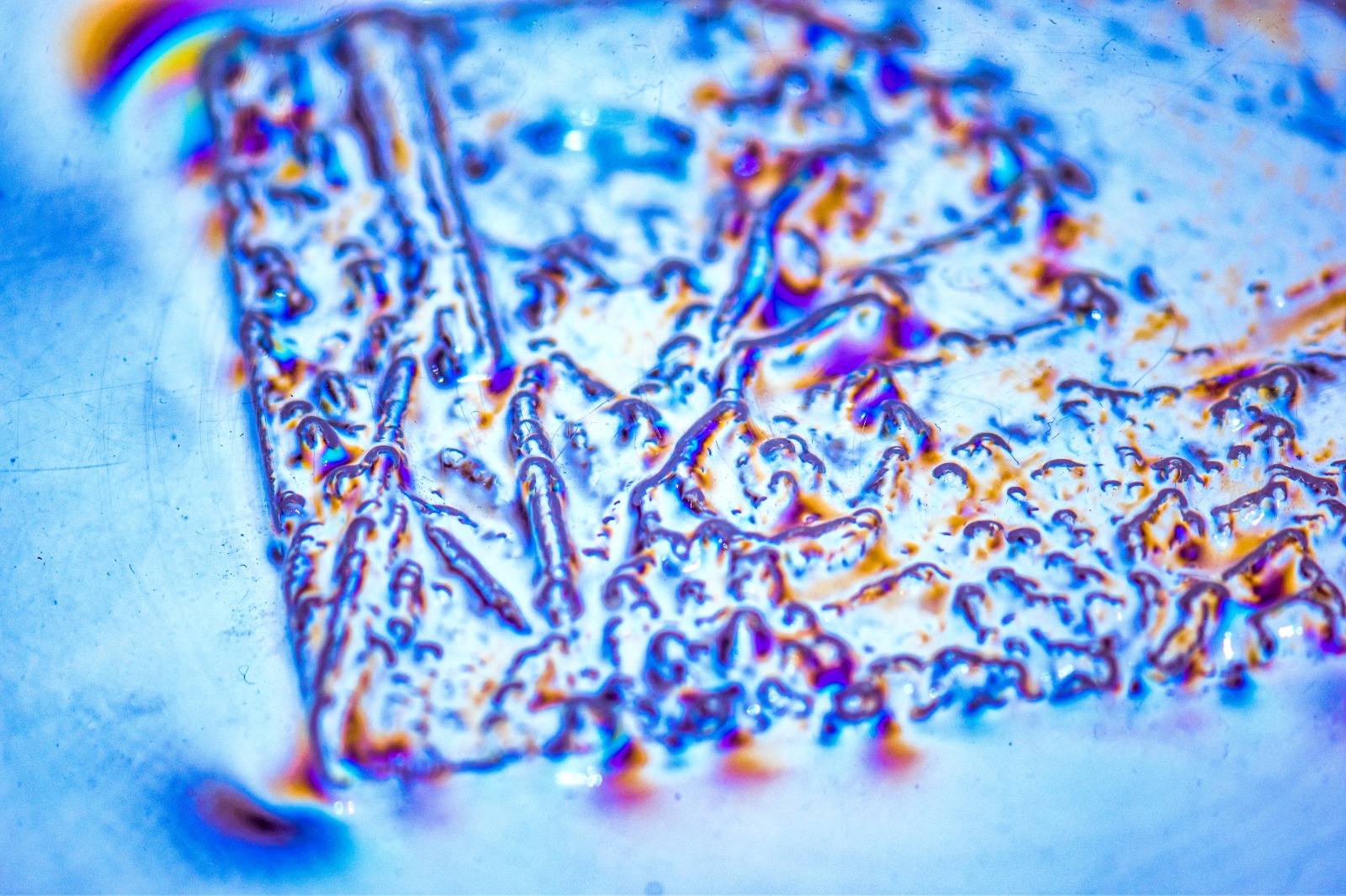 79ff0384-45c4-4b4c-bc4e-50148c0301da