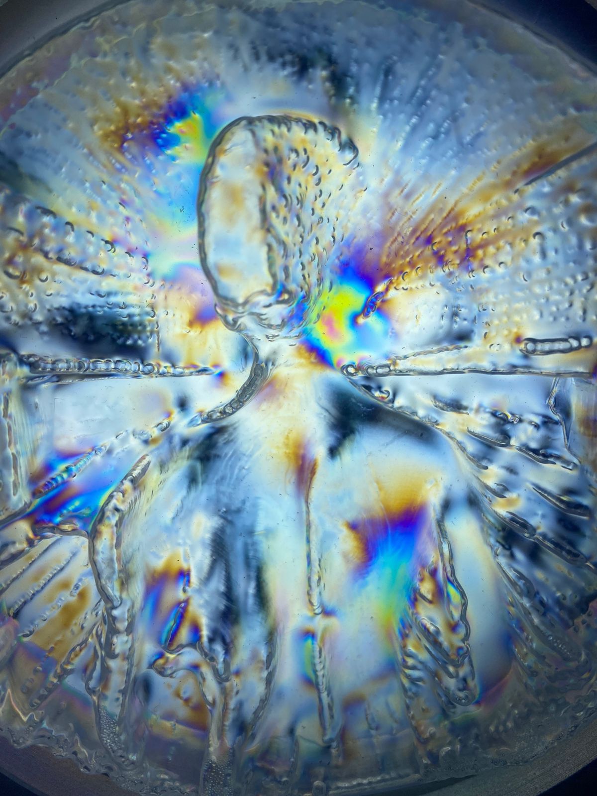 3b35caeb-9bf2-4078-88bc-afc289795d2a