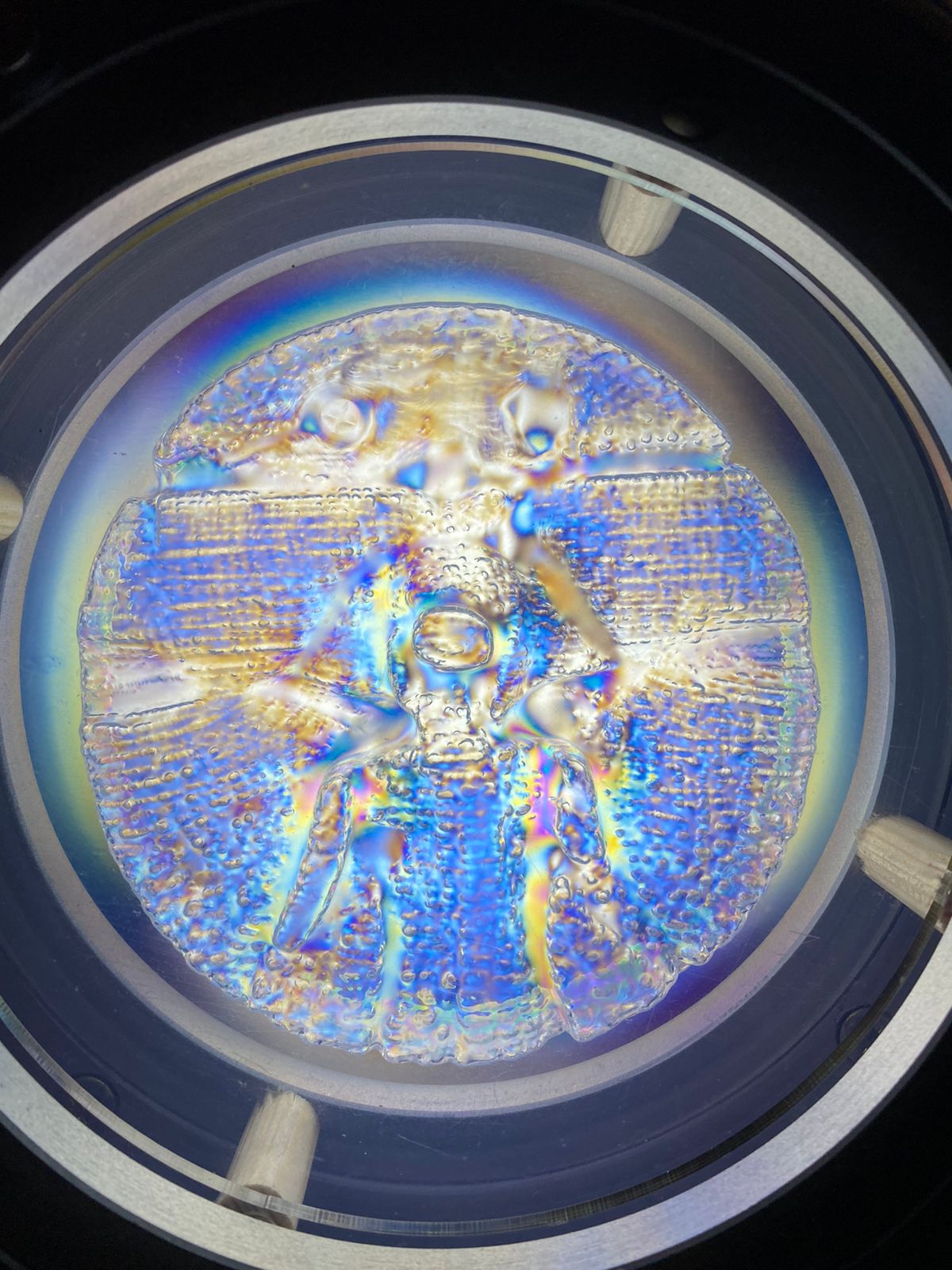 4917ca03-8300-423f-b62c-373c4b01f277