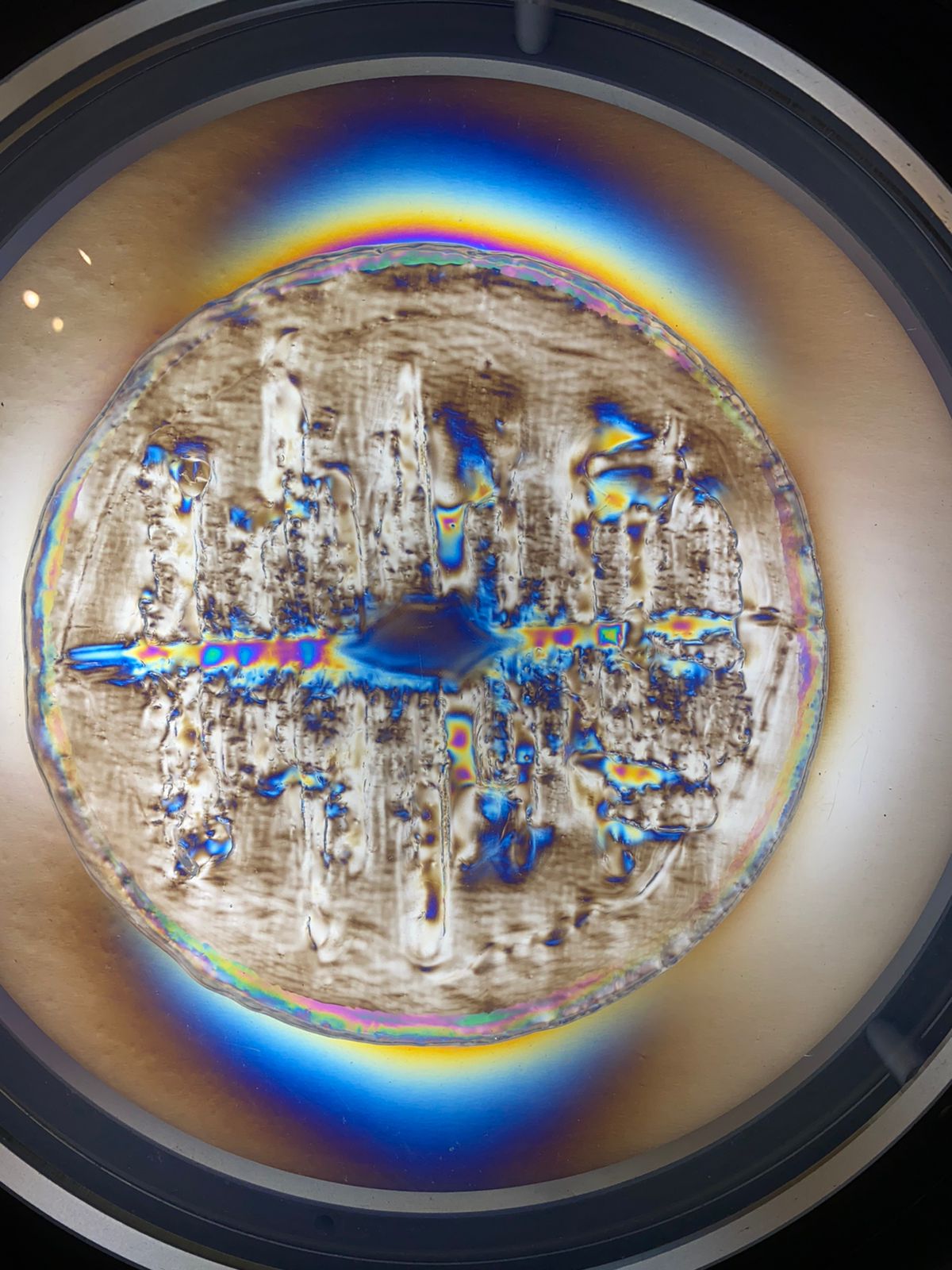 7663a2a9-d7e6-4ca7-a163-3013c66783d7