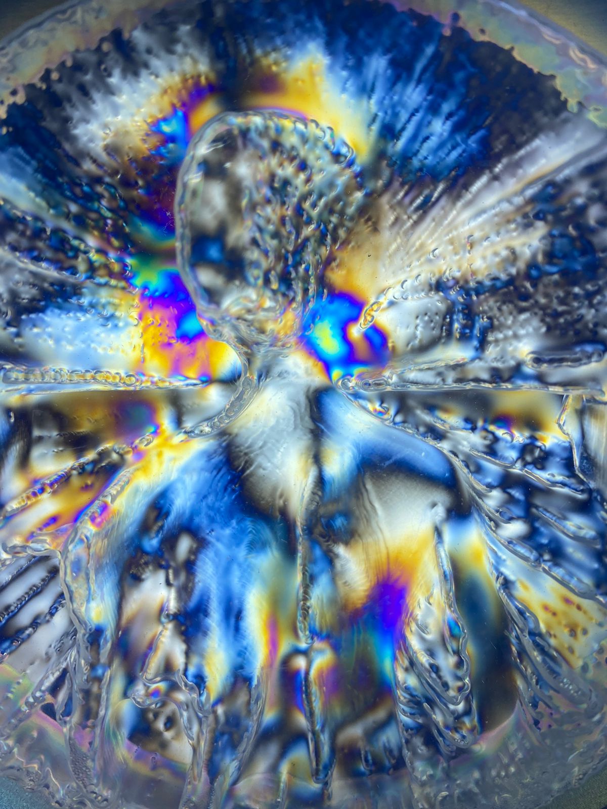 cb1c7c34-7fa8-4024-963b-f3ded5c58998