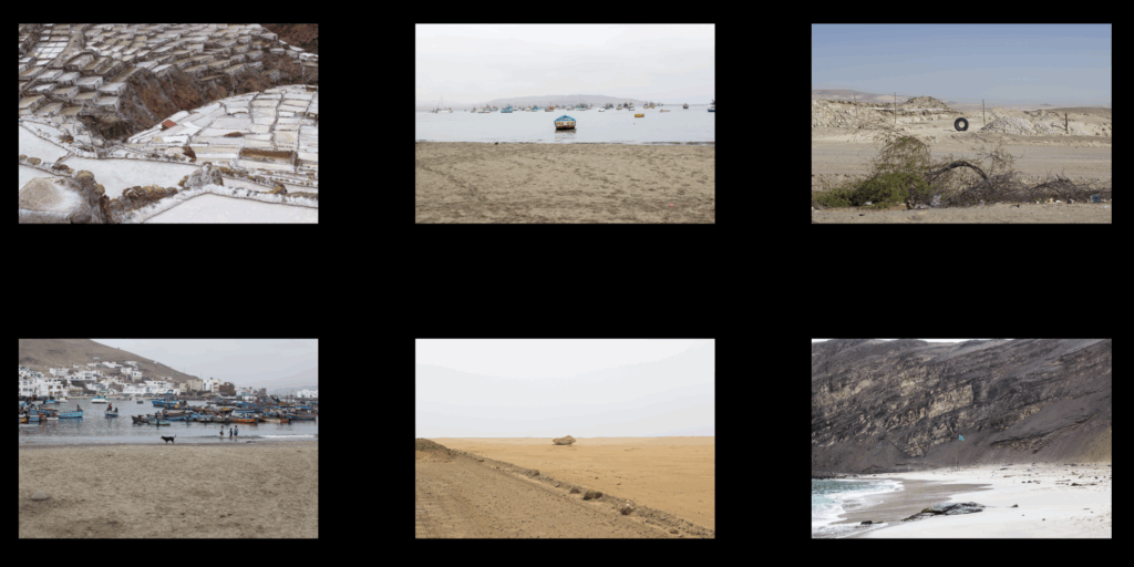 ilan-valdes-contemporary-art-projects-visual-research-memory-trauma-psychosocial-collapse-gaia-theory-community-co-creation